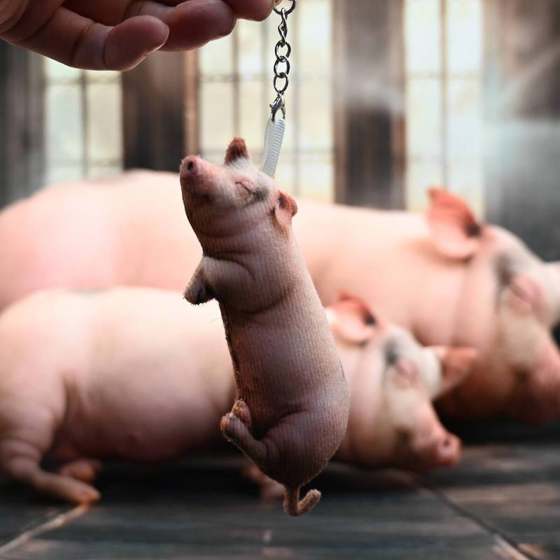 Kawaii Realistic Sleeping Pig  - đánh giá và giá Home Office With Sofa