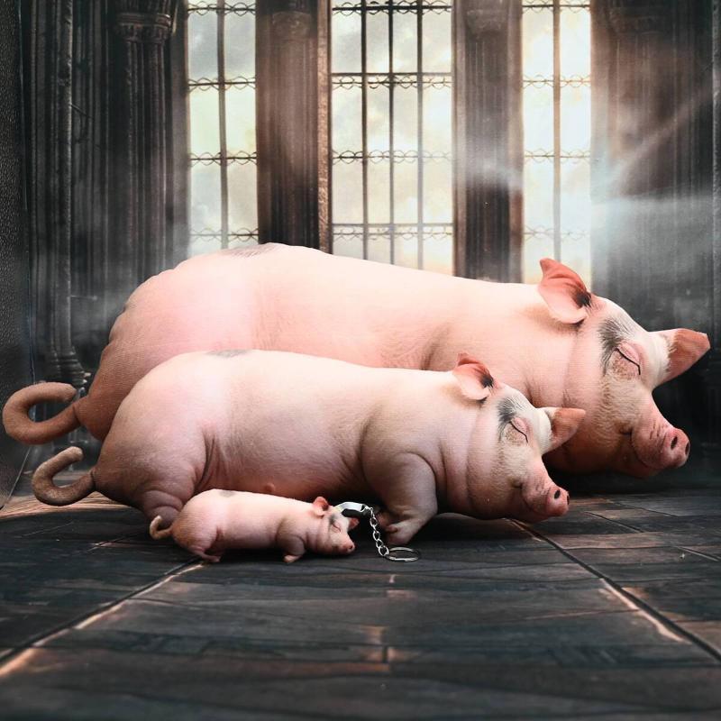 Kawaii Realistic Sleeping Pig  - đánh giá và giá Home Office With Sofa