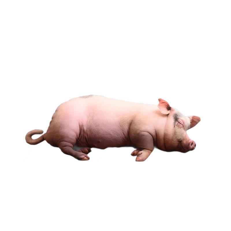 Kawaii Realistic Sleeping Pig  - đánh giá và giá Home Office With Sofa